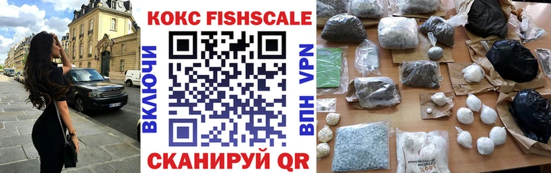 Cocaine Fish Scale  продажа наркотиков  Арск 