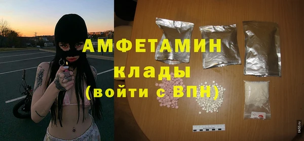 твердый Арсеньев