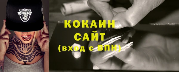 твердый Арсеньев