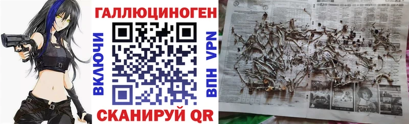 Галлюциногенные грибы Psilocybe Арск